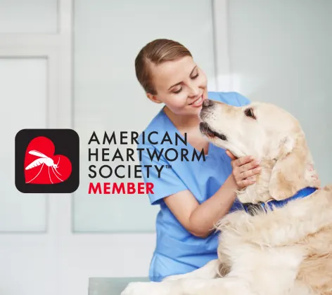 Women with Dog American Heartworm Logo